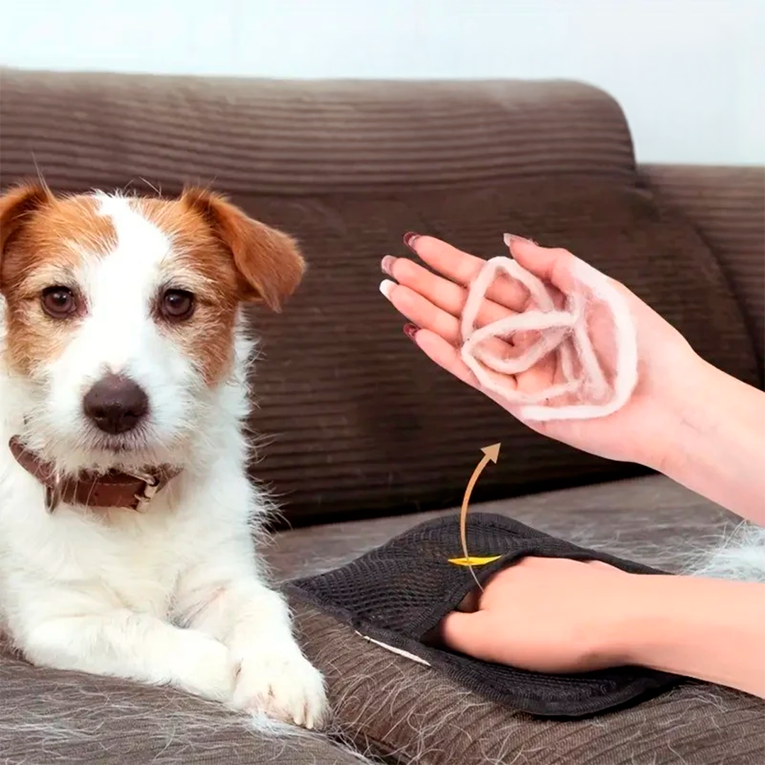 Luvas Eletrostáticas Para Remoção De Pelos Animais de Estimação