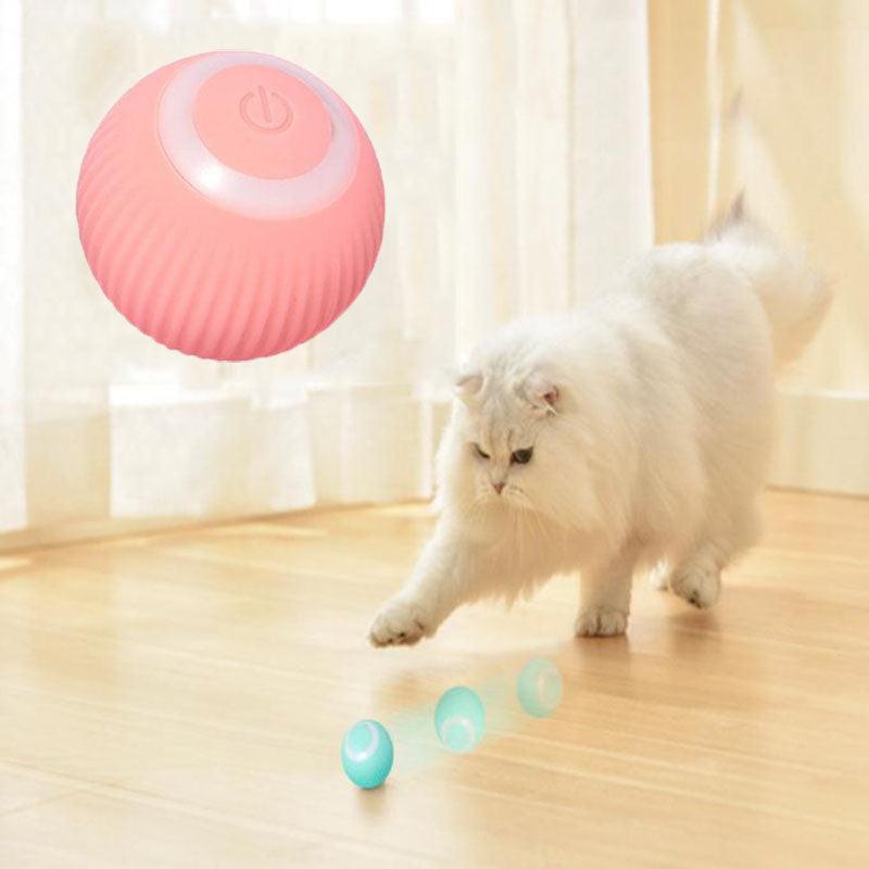 Bolinha Interativa Auto Rolante Para Gatos Recarregável USB - Achei na Lojinha